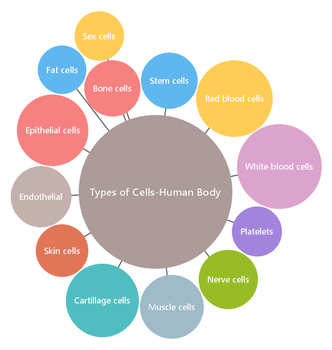 types of cells