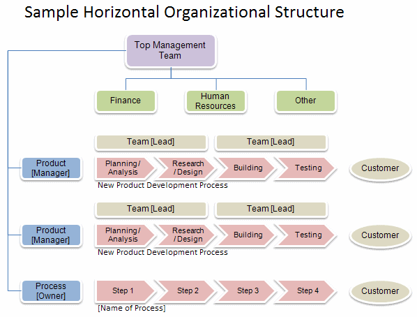 Horizontal or Flat Organizational Chart