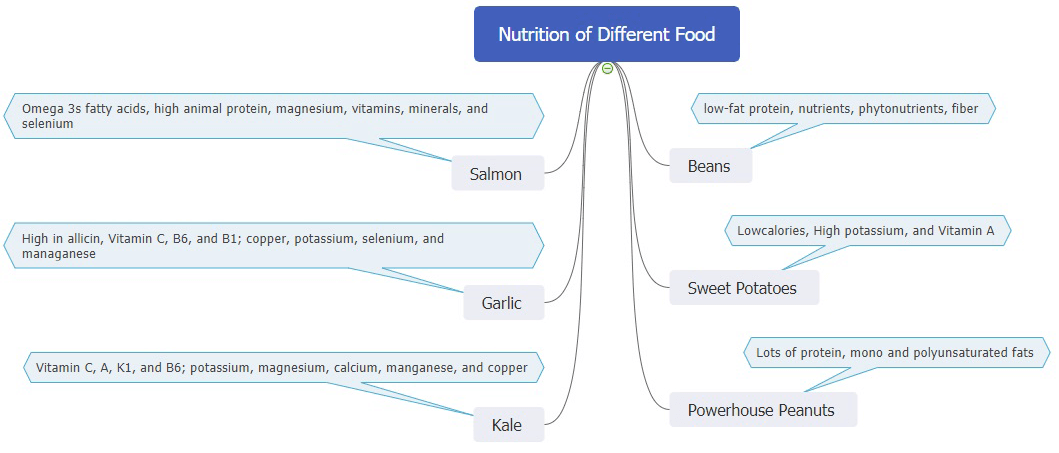 nutrition of different food mind map