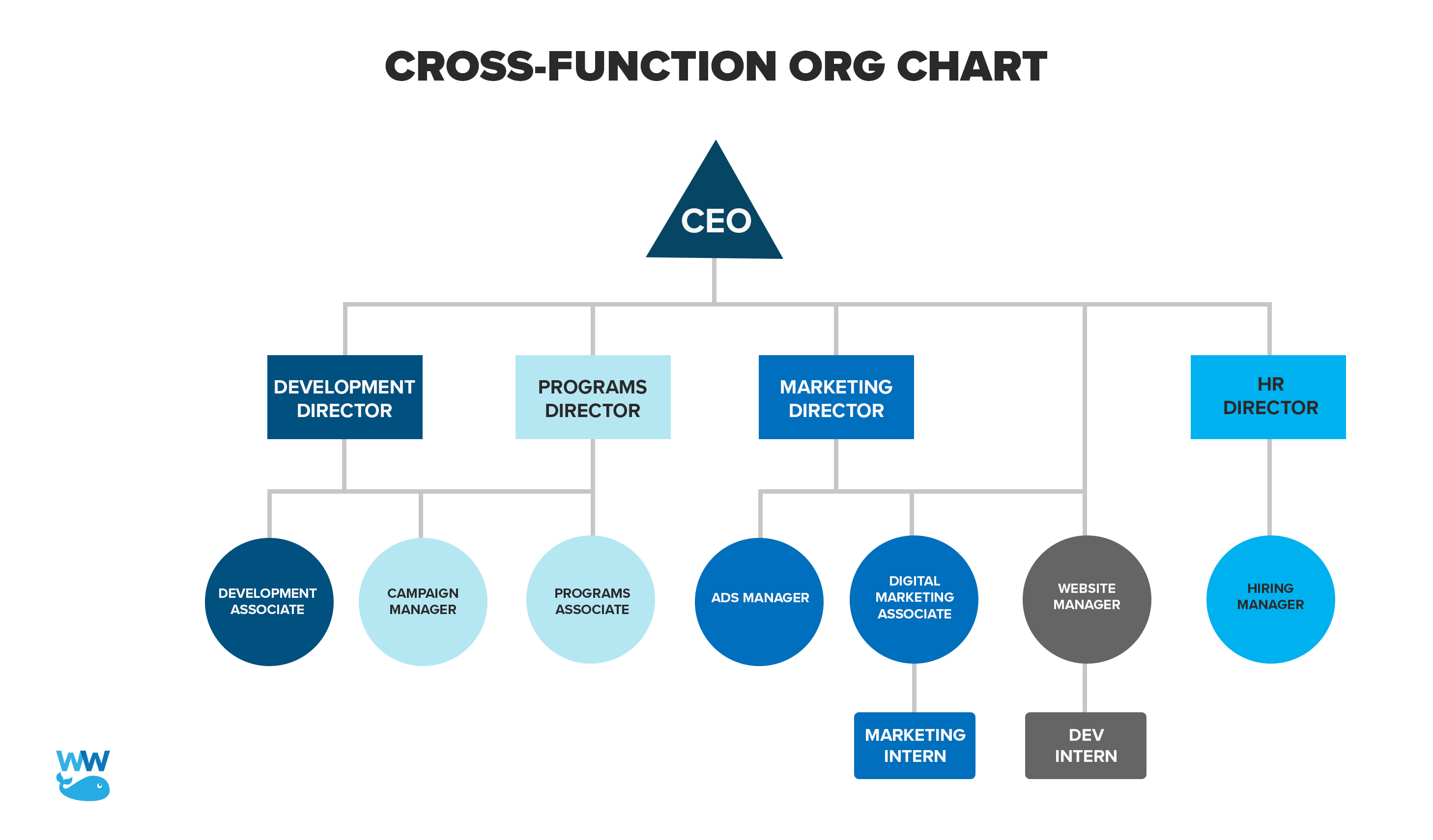 cross-function-org-chart