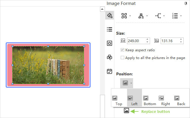 image format pane